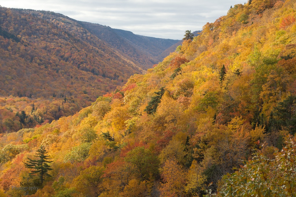 Herbstfarben