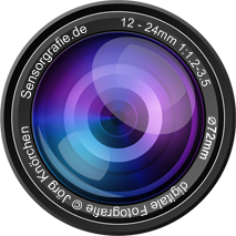 Sensorgrafie Logo