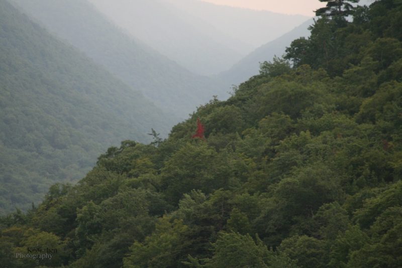 Aspy Valley, Nova Scotia - Rotahorn