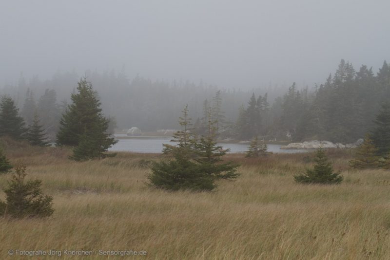 Seaside Adjunct of Kejimkujik National Park