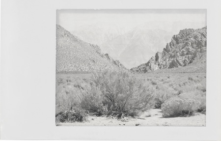 Minor White, Boundary Mountain, Benton, California, 1959, Polaroid Type 52, 4 × 5”,  © Trustees of Princeton University 
