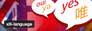 xili language plugins for WordPress