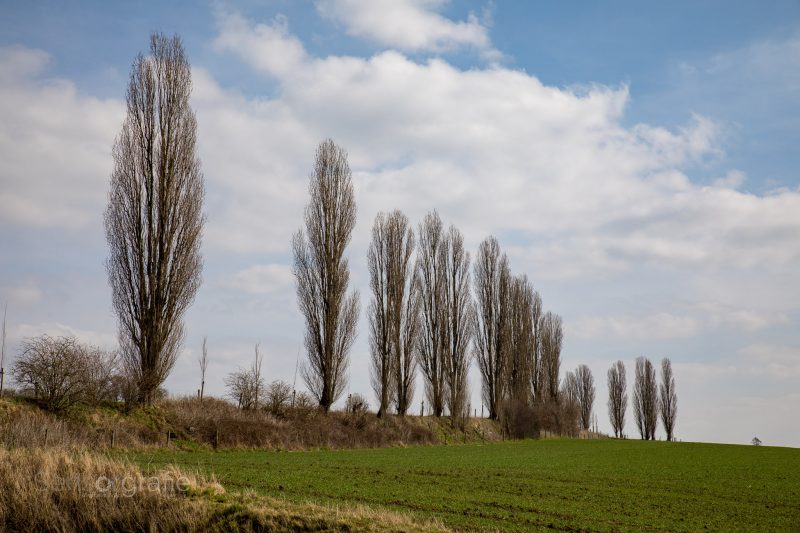 Workshop Landschaftsfotografie