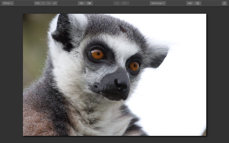 Unbearbeitetes RAW in Luminar 2018