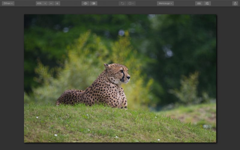 Unbearbeitetes RAW Bild in Luminar geöffnet