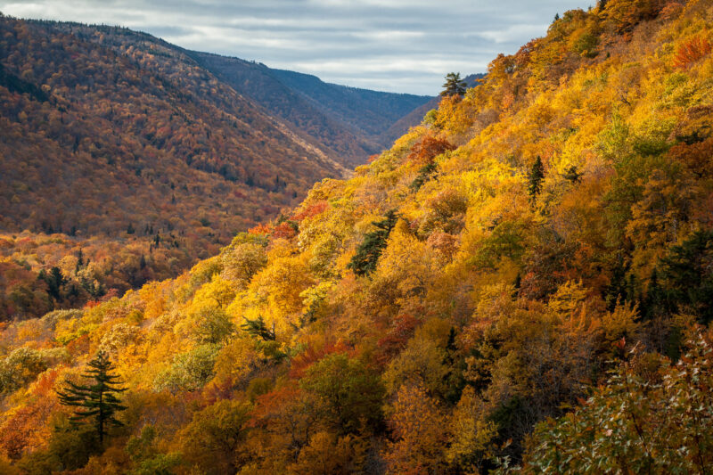 Aspy Valley