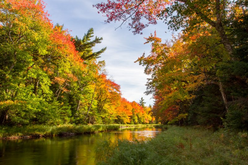 Flowing Waters, Kejimkujik National Park & Historic Site - Indian Summer