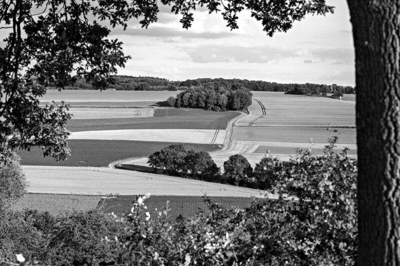 Der Baum auf der rechten Seite mit seinen Ästen und die im Vordergrund befindliche Hecke bilden einen Rahmen und geben den Blick ins Zentrum auf die Landschaft frei. Die Straße und anderen Linien führen zur Bildmitte.