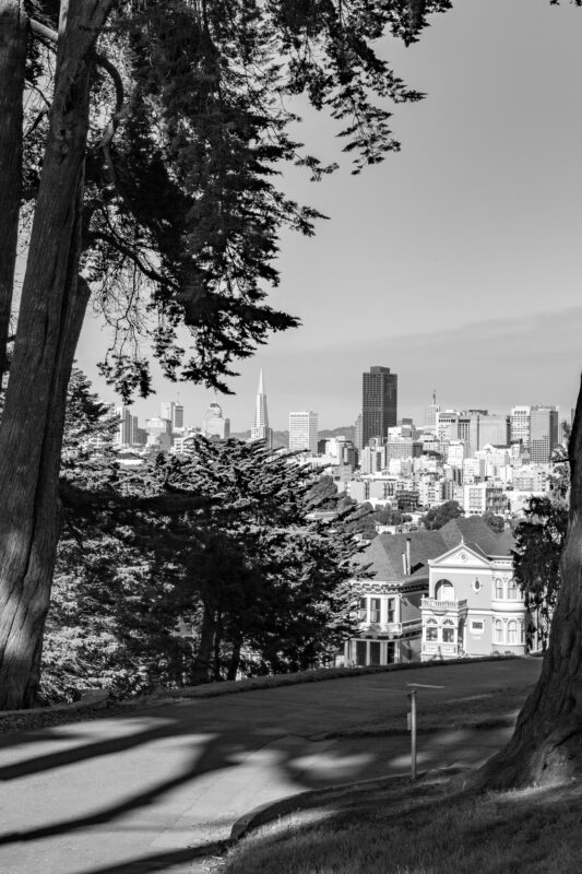 Schwarzweiß-Fotografie: Der Weg im Vordergrund sowie die Bäume an den Seiten bilden einen Rahmen für den Ausblick auf San Francisco.