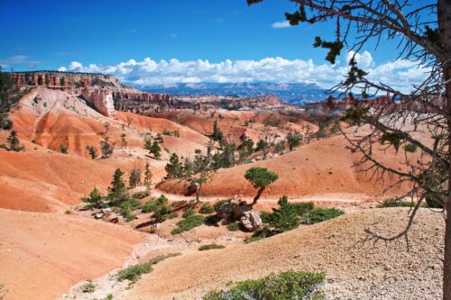 Queen's Garden Trail Bryce Canyon, USA