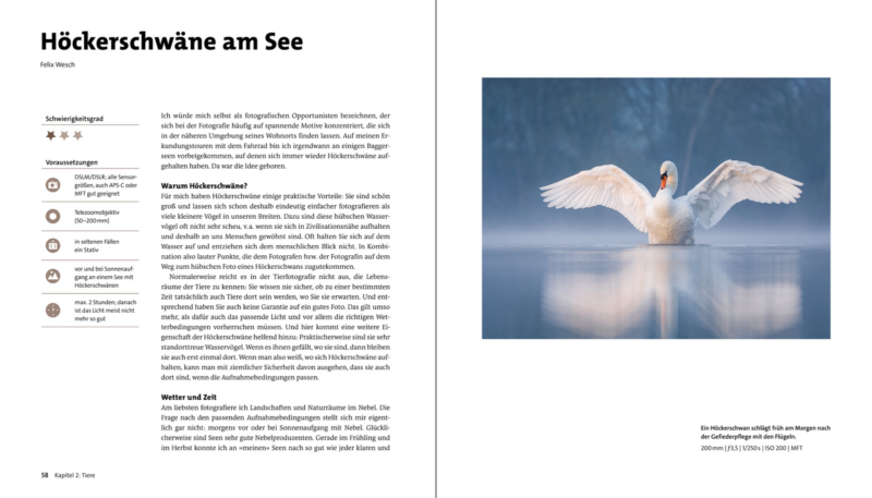 © Rheinwerk Verlag - Beispielseiten Fotografieren in der Natur