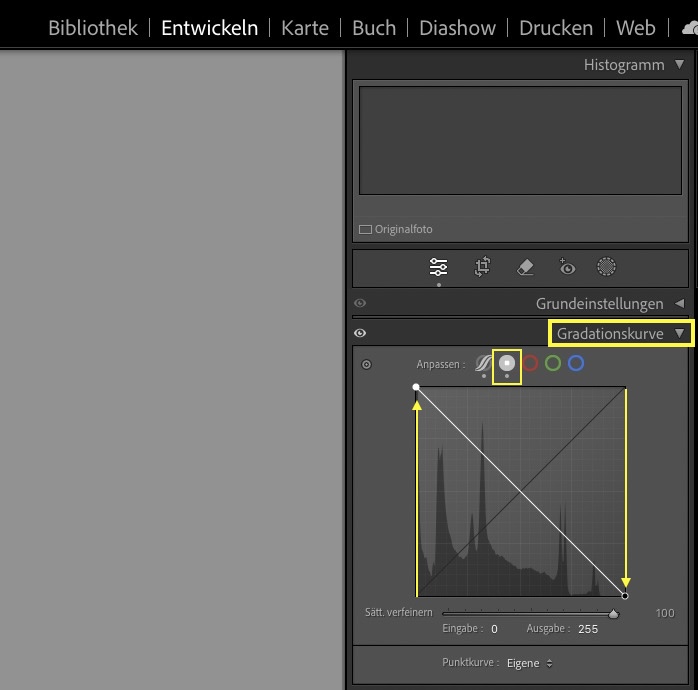 Screenshot Gradationskurve Lightroom Classic Foto invertieren