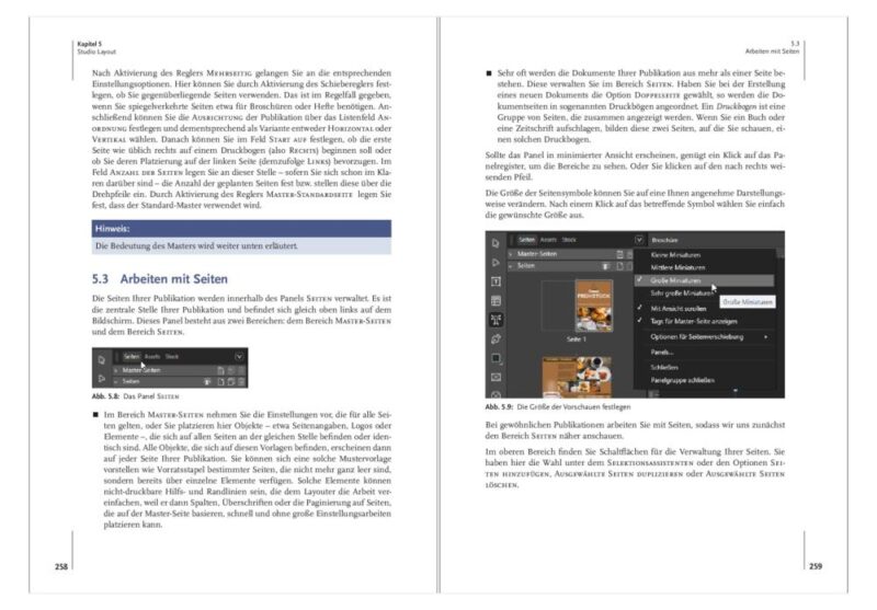 Affinity - Kreativer Praxis‑Einstieg in die Studios Vektor, Pixel & Layout - Seiten 258/259