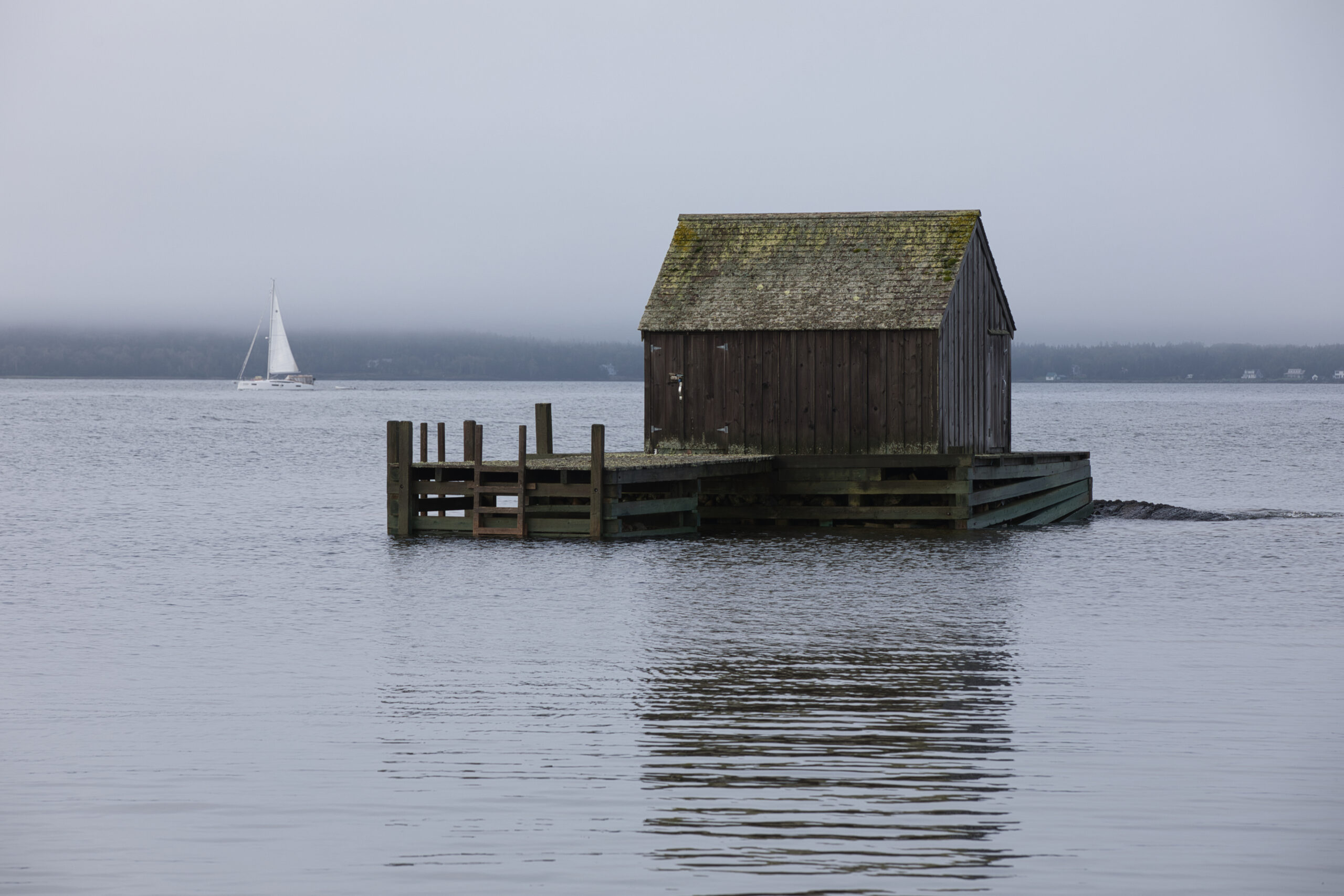 Fish Shack - Vorher