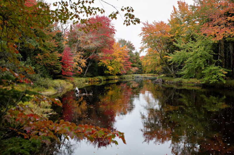 Mersey River