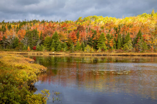 Jigging Cove Lake