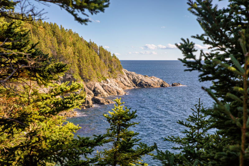 Middle Head Trail